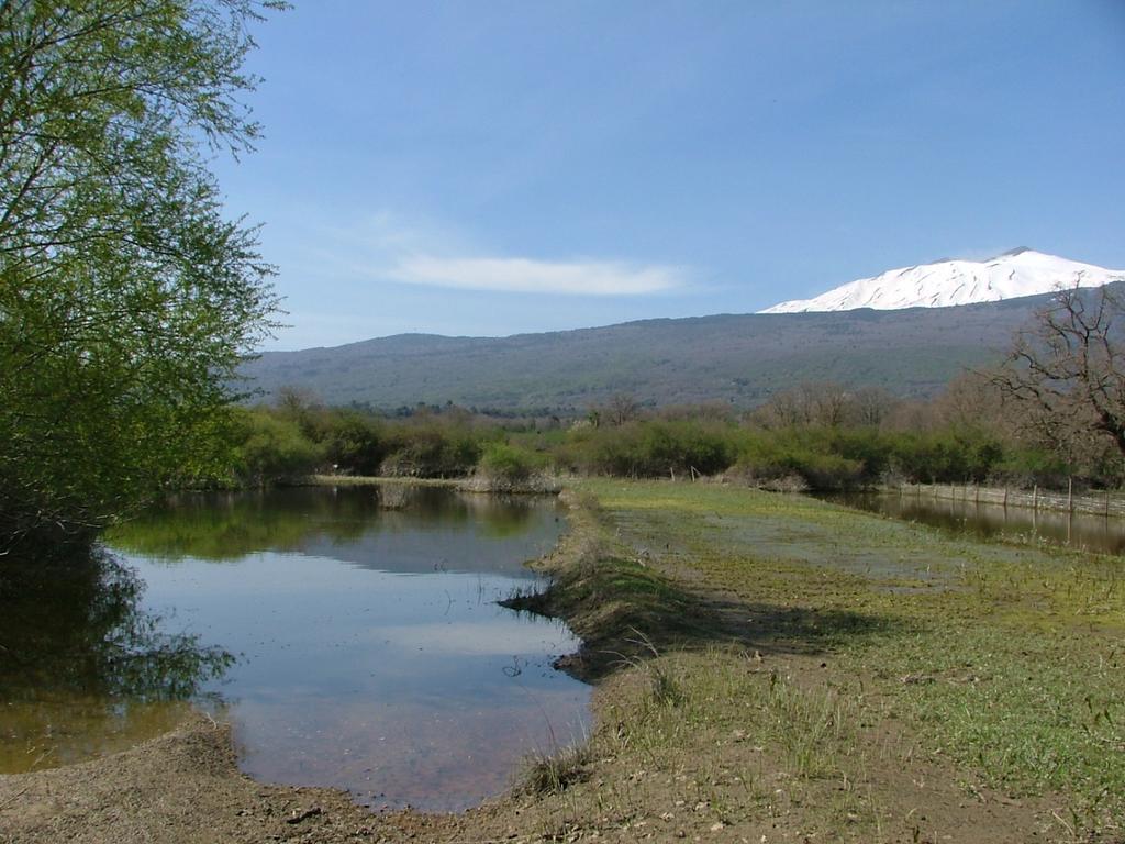 Animosa Suites Castiglione De Sicilia Exteriör bild