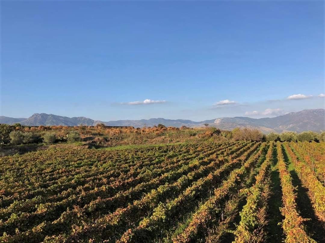 Animosa Suites Castiglione De Sicilia Exteriör bild